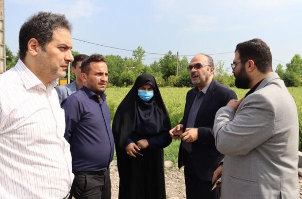 فرماندار خمام خواستار همکاری و تعامل نزدیکتر دستگاههای اجرایی برای تسریع در روند مطالعات و اجرای پروژههای صنعتی خمام شد فرماندار خمام خواستار همکاری و تعامل نزدیکتر دستگاههای اجرایی برای تسریع در روند مطالعات و اجرای پروژههای صنعتی خمام شد