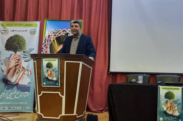 ضرورت مهرورزی با جنگل/ کاشت یک میلیارد اصله درخت در طی ۴ سال/ لزوم تامین منابع چوب بواسطه کاشت درخت