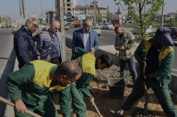 زیباسازی سیمای بصری ورودی رشت با کاشت درختان بومی و اصیل هیرکانی