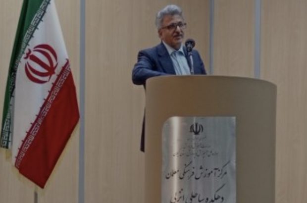 «کاهش جمعیت، سالمندی و خودکشی» از عوامل اجتماعی مؤثر بر سلامت هستند