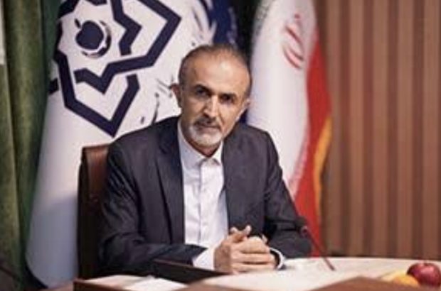 نقش فرهنگ در میل به فرزندآوری مقدم بر اقتصاد است نقش فرهنگ در میل به فرزندآوری مقدم بر اقتصاد است