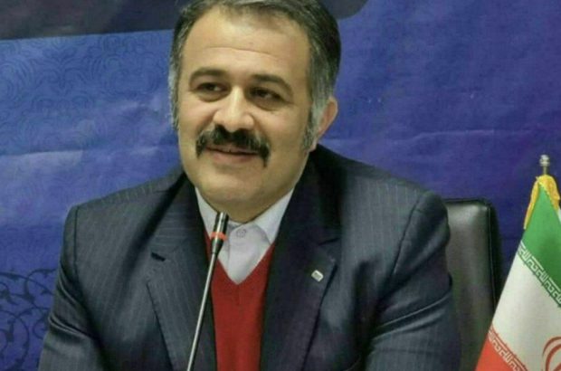 پژوهشگر ایرانی عضو رسمی شورای کارشناسی فرهنگ و سنت‌های بریکس شد