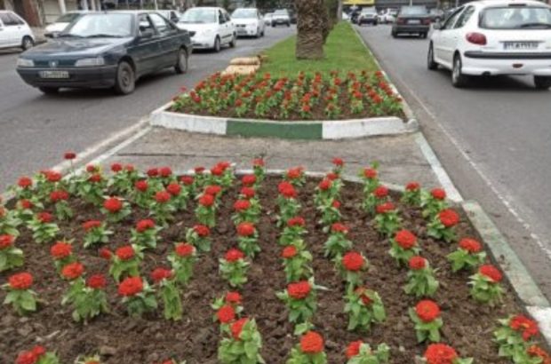 با دستور شهردار رشت، گُلکاری فصلی در بلوارها و میادین شهر رشت با هدف زیباسازی و نشاط شهروندان آغاز شد با دستور شهردار رشت، گُلکاری فصلی در بلوارها و میادین شهر رشت با هدف زیباسازی و نشاط شهروندان آغاز شد