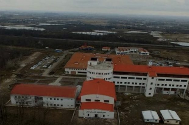 موافقت وزارت بهداشت با راه‌اندازی رشته «شبیه‌سازی و مصورسازی در علوم پزشکی» در گیلان