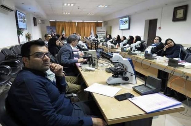 کارگاه بازآموزی تشخیص میکروسکوپی مالاریا آغاز شد