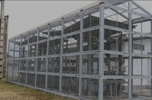 عملیات اجرایی افزایش ظرفیت بانک خازنی پست فومن پایان یافت عملیات اجرایی افزایش ظرفیت بانک خازنی پست فومن پایان یافت