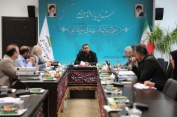 ایفای نقش لوکوموتیو اقتصاد شمال کشور افق پیش روی منطقه آزاد انزلی است