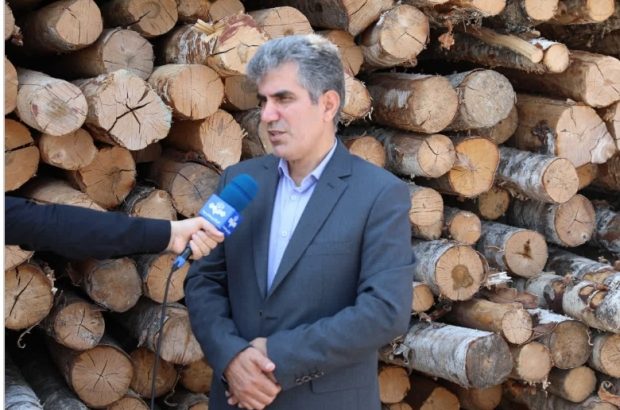 واردات چوب با پوست برای نخستین‌بار در منطقه آزاد انزلی