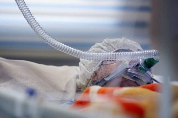 افزایش مراجعان و جانباختگان سرو مشروبات الکلی در رشت