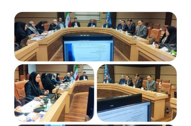 دانشگاه علوم پزشکی گیلان در تکاپوی تسهیل زایمان بی درد دانشگاه علوم پزشکی گیلان در تکاپوی تسهیل زایمان بی درد