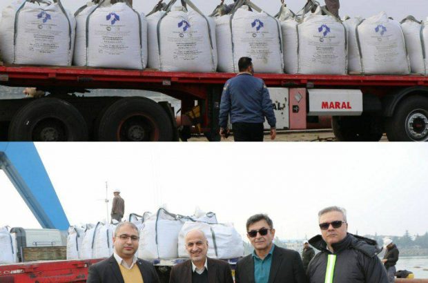 اولین محموله‌های سیمان صادراتی شرکت سیمان خزر به مقصد کشور روسیه ارسال شد