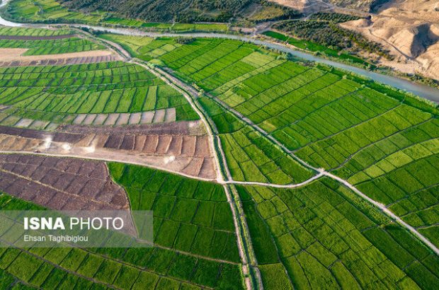 رفع تداخل ۲۸۰ هزار هکتار از اراضی کشاورزی گیلان رفع تداخل ۲۸۰ هزار هکتار از اراضی کشاورزی گیلان
