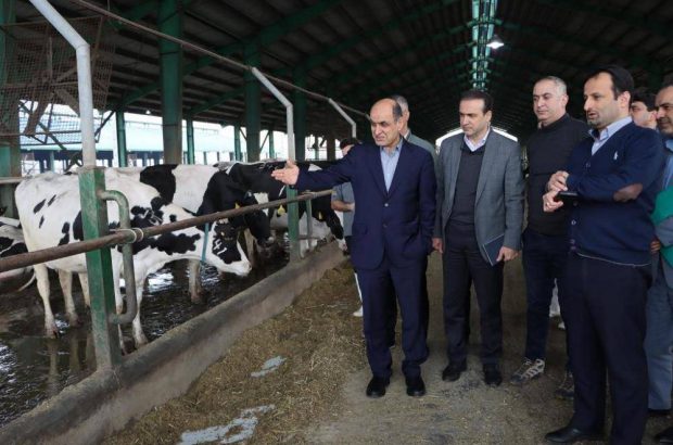 تکاپوی اقتصادی استاندار گیلان در راستای رشد تولید و اشتغال پایدار تکاپوی اقتصادی استاندار گیلان در راستای رشد تولید و اشتغال پایدار