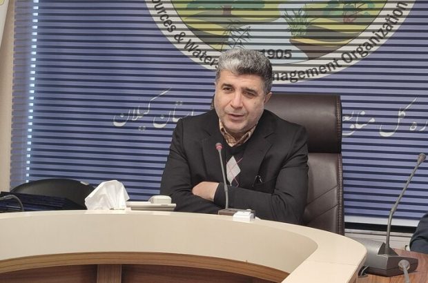 کشت ۱۰ میلیون درخت تا رفع تداخل حدود ۸ هزار هکتار اراضی ملی در گیلان کشت ۱۰ میلیون درخت تا رفع تداخل حدود ۸ هزار هکتار اراضی ملی در گیلان