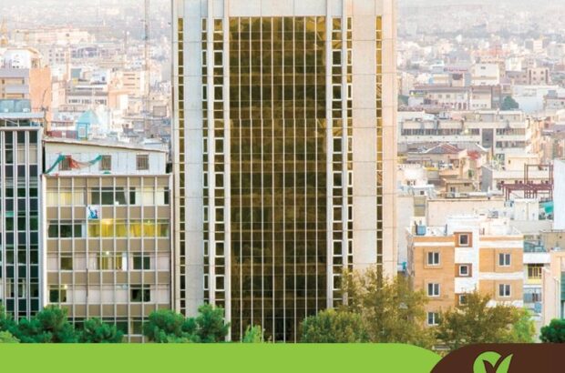 بررسی کارنامه اصلی‌ترین نهاد متولی قرض‌الحسنه