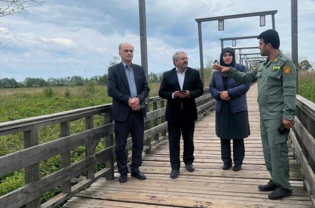 احیای تالابهای گیلان نیازمند مدیریت یکپارچه است احیای تالابهای گیلان نیازمند مدیریت یکپارچه است