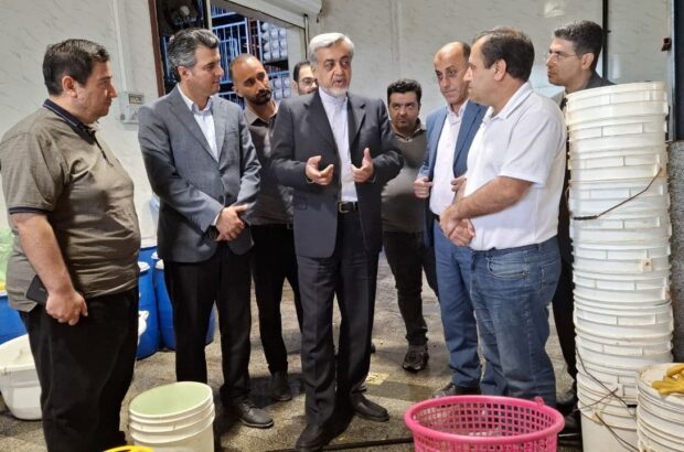 کارگران در خط مقدم تولید و اقتصاد کشور هستند