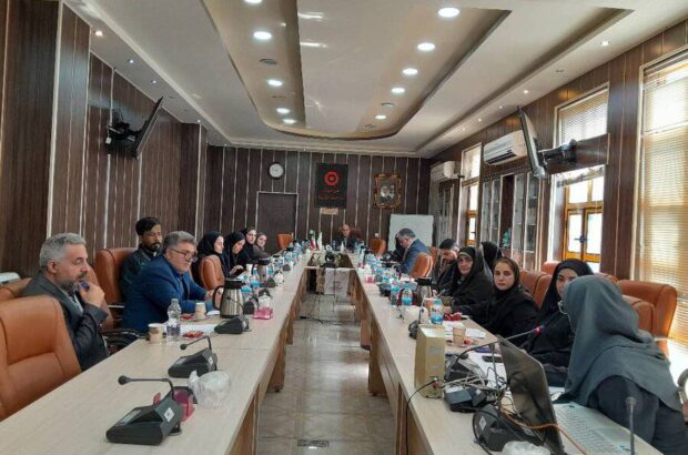 مناسب سازی و دسترس پذیری اماکن ،دریچه ورود افراد دارای معلولیت به جامعه است