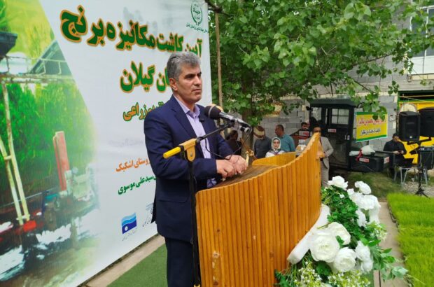 واردات برنج مدیریت شده است واردات برنج مدیریت شده است