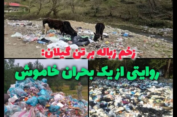زخم زباله بر تن گیلان: روایتی از یک بحران خاموش زخم زباله بر تن گیلان: روایتی از یک بحران خاموش