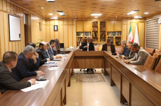 تخصیص اعتبار یک همتی برای نوسازی شالیکوبی های گیلان