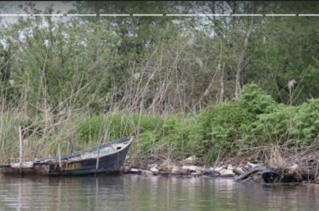 اعتبارات متوازن انزلی صرف احیای تالاب شد اعتبارات متوازن انزلی صرف احیای تالاب شد