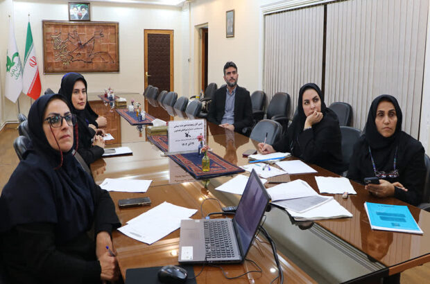 آغاز پایش مرحله استانی قصه‌ها در بیست‌وهفتمین جشنواره بین‌المللی قصه‌گویی