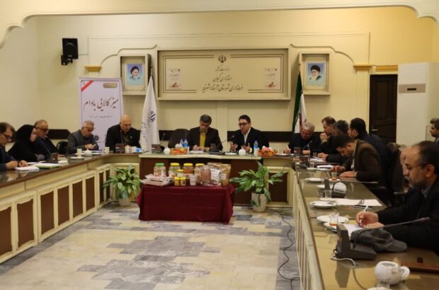 بستهبندی مناسب و برندسازی بادام، لازمه توسعه صادرات است. بستهبندی مناسب و برندسازی بادام، لازمه توسعه صادرات است.