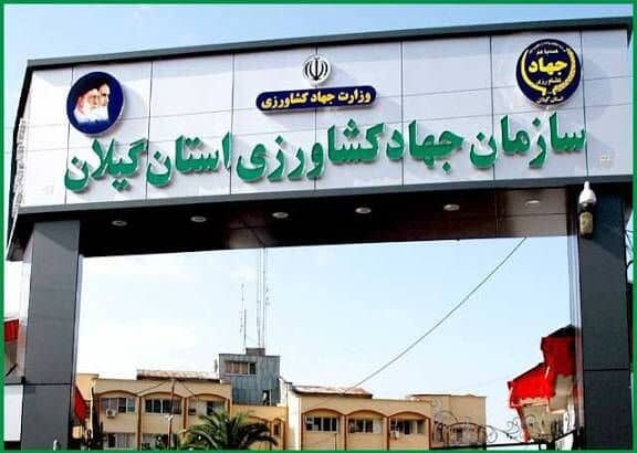 پاسخ روابط عمومی جهاد کشاورزی گیلان به حاشیههای بازدید فرماندار بندرانزلی پاسخ روابط عمومی جهاد کشاورزی گیلان به حاشیههای بازدید فرماندار بندرانزلی